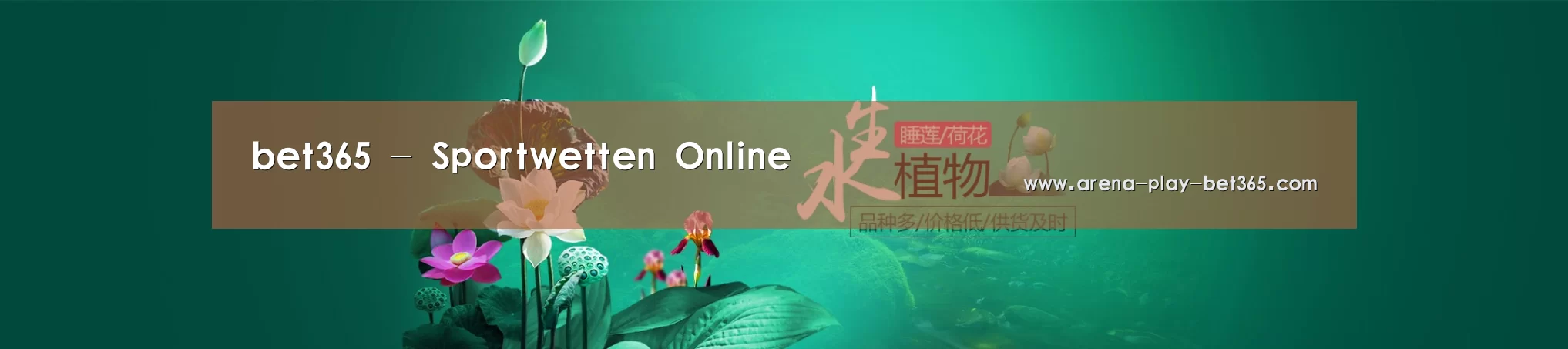 鲜花水草花卉网站模板