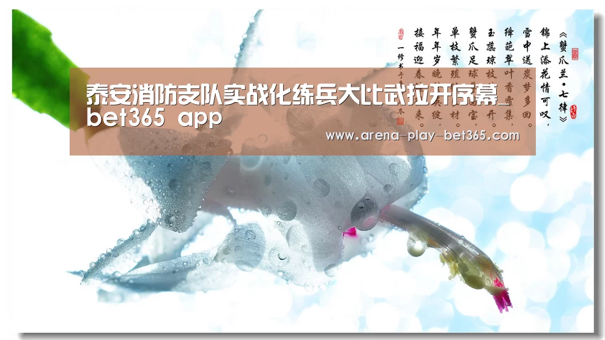 泰安消防支队实战化练兵大比武拉开序幕_bet365 app(图2) bet365 app