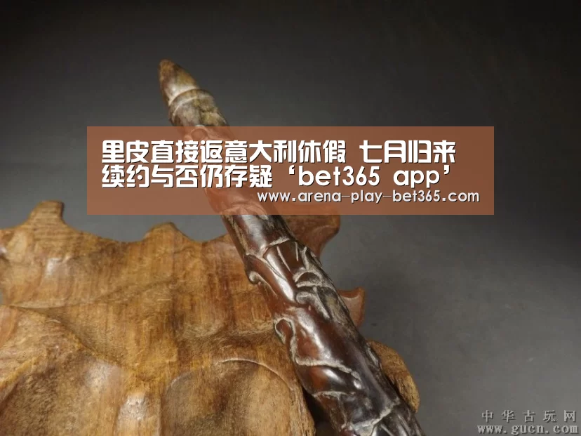 里皮直接返意大利休假 七月归来续约与否仍存疑‘bet365 app’(图3)